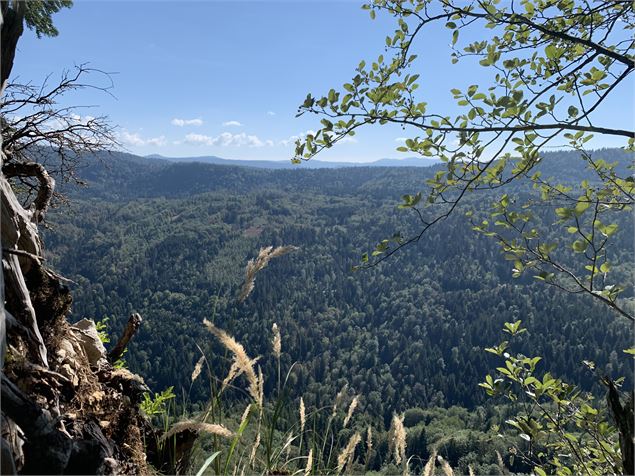 Vue du belvédère du Haut Crêt - Maxime Michel