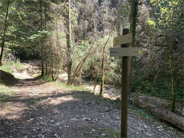 La vallée du Landeyron - Maxime Michel