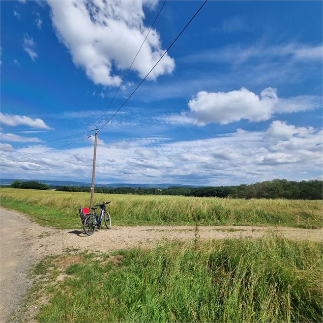 VTT - le Bocage de Foissiat - n°9 - scalland