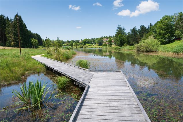 Chemin aménagé - HautBugeyTourisme-AgenceArgoJérpomePruniaux