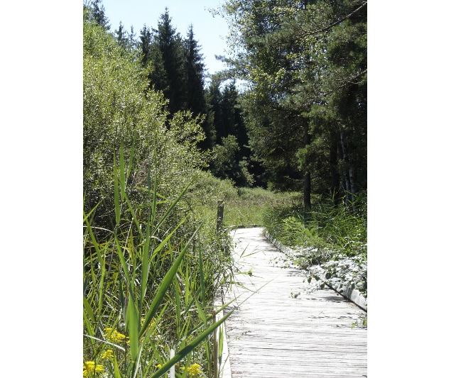 Marais des Lèches - Mélanie Chanel