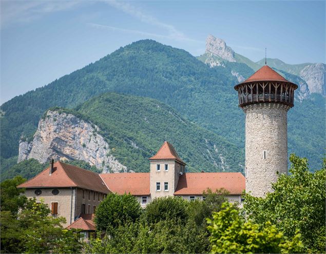 Vue du donjon et du Roc de Viuz - Manon OTSLA