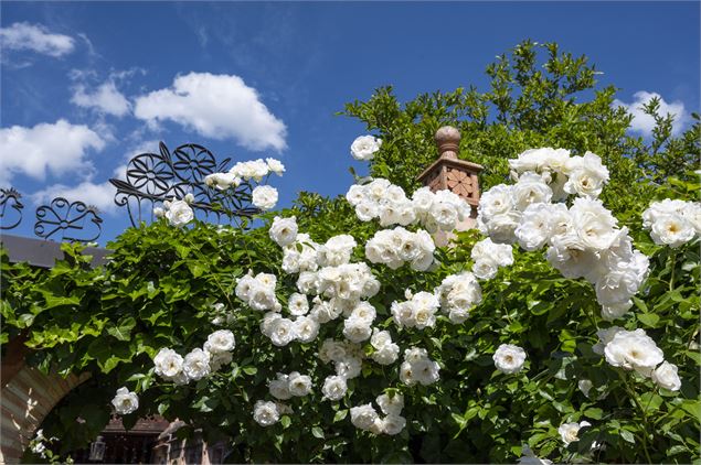 Allée des roses - CHAMOIN VINCENT/Jardins Secrets