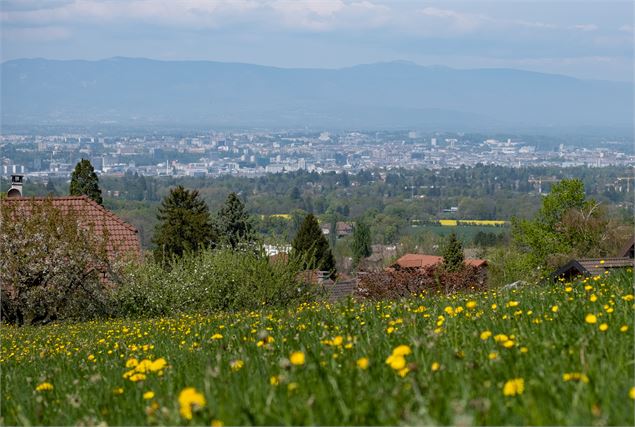 Paysage Collonges sous Salève - Alexis BROCHOT - CD74