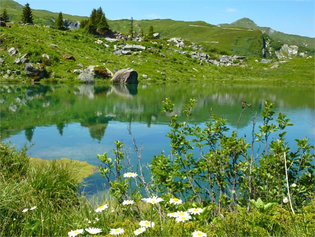 Des alpages verdoyants à la Pierra Menta - Rando pédestre 3 jours - K.Mandray