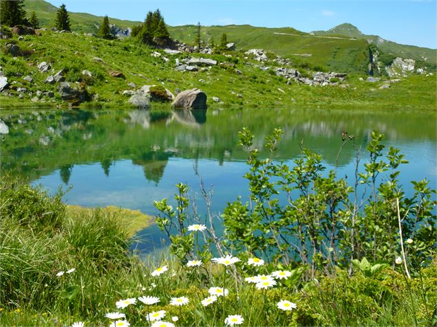 lac des fées - K.Mandray