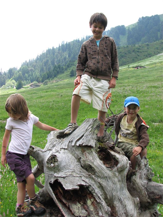 En balade familiale dans le vallon de l'Orgère à Villarodin-Le Bourget - O.T. La Norma VLP