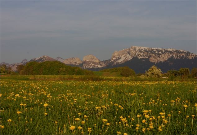 Boucle Le grand Plateau des Bornes - CCPC