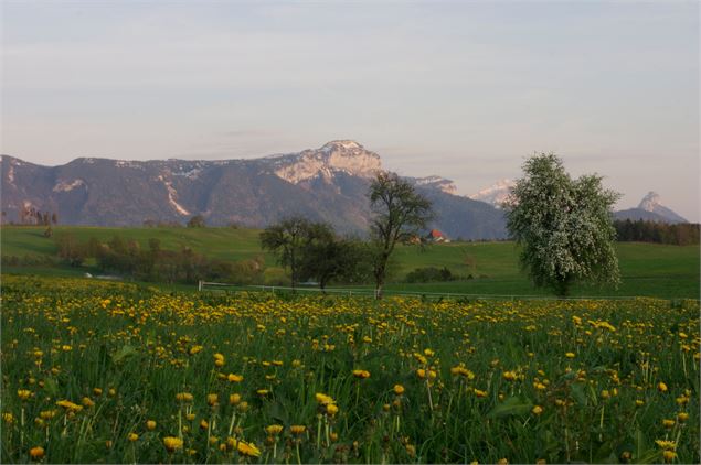 Boucle Le grand Plateau des Bornes - CCPC