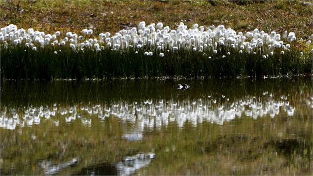 lac des moutons - mnpc