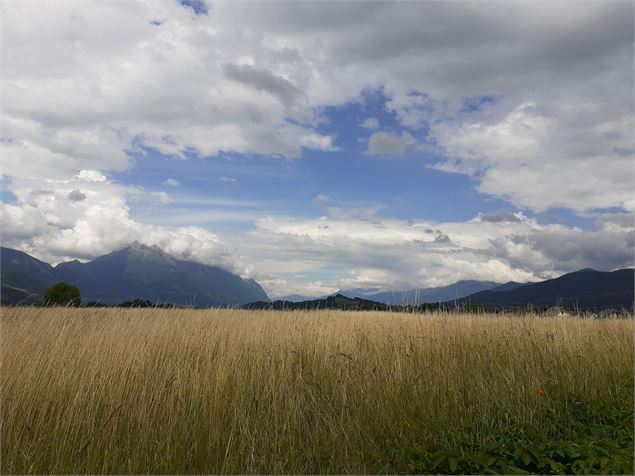 Boucle cyclo : Circuit de la Cochette - © Savoie Mont Blanc - Anglade