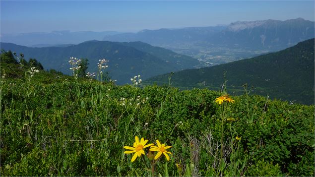 Bellacha - OT Porte de Maurienne