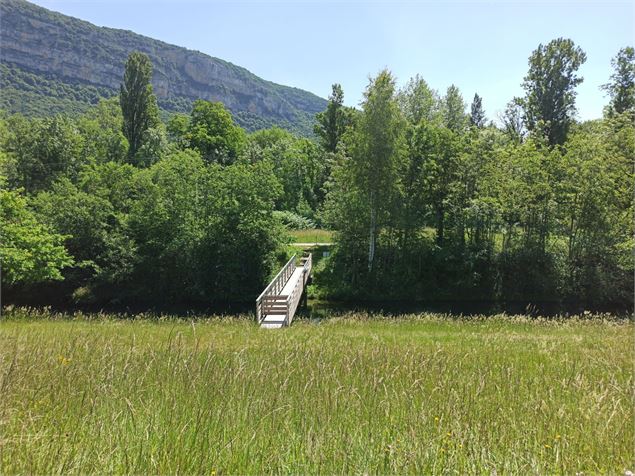 Passerelle sur le sentier - E.Lambert