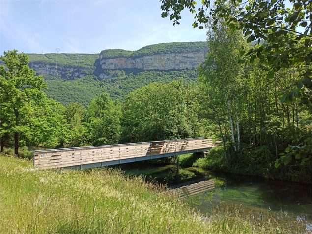 Passerelle sur le sentier - E.Lambert