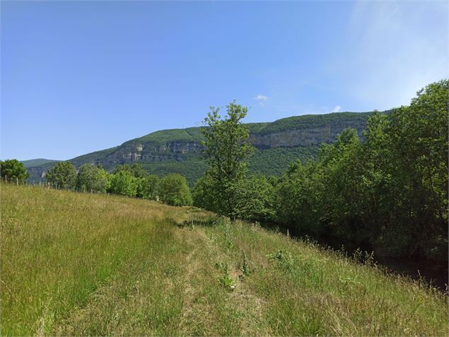 Vue sur le Bugey depuis le sentier - E.Lambert