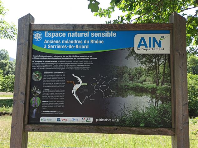 Espace naturel sensible de l'Ain - E.Lambert