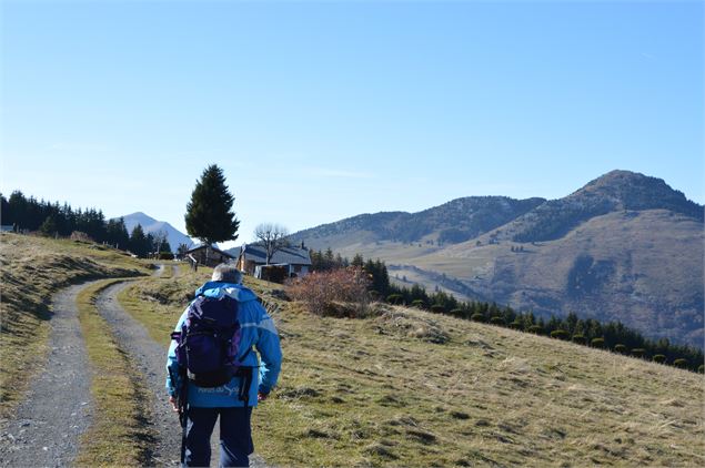 Vue sur la Pointe d'Andey depuis les Frachets - CD74