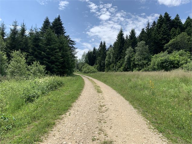 Chemin en gravillons - Christophe Kaderabek