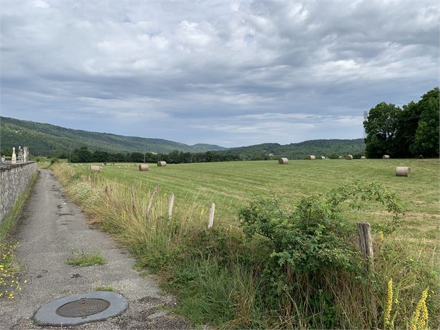 Route goudronnée - Maxime Michel