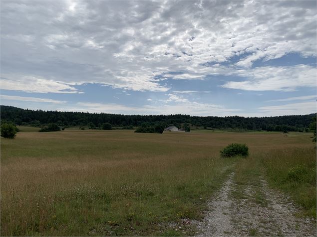 Vue panoramique - Maxime Michel