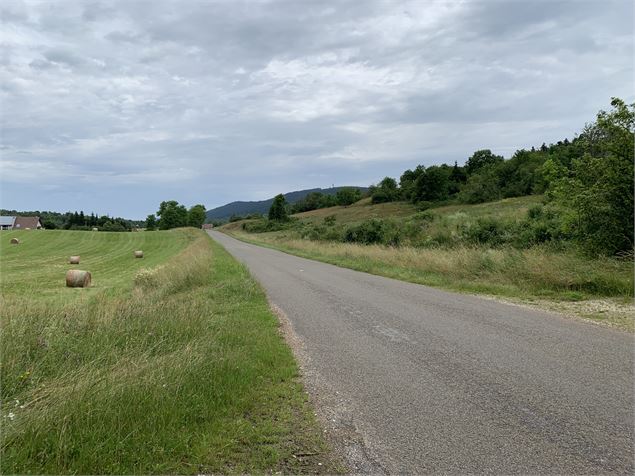 Route goudronnée - Maxime Michel