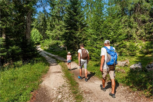 Dans la forêt Savoie Grand Revard - C. Haas - Grand Chambéry Alpes Tourisme