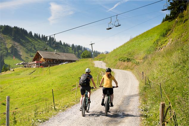 Petit tour des Portes du Soleil (départ Champéry) - Litescapemedia