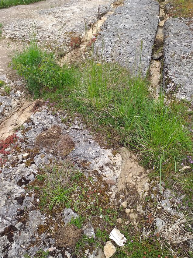 Traces de chars vers la carrière de l'Octave - K.Tranchina