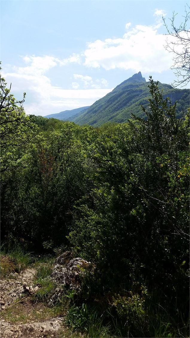 RandonnéeAixlesBainsRivieradesAlpesSentierduChatVueDentduChat - ©SavoieMontBlanc-Martelet