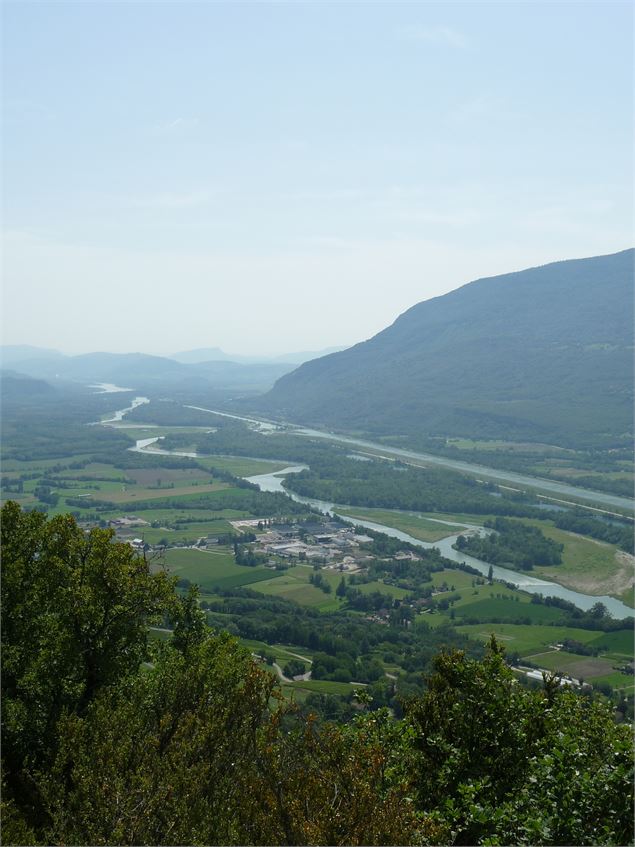 Panorama sur le Rhône au sud - Grand Lac