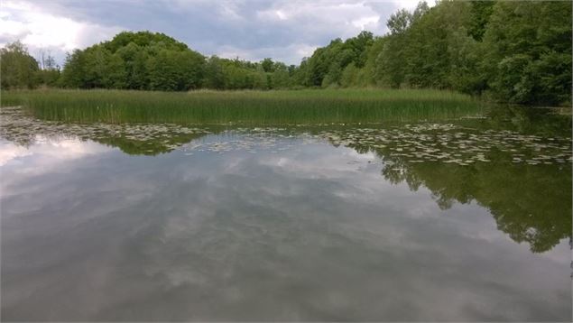 Les marais d'Albens - ©SavoieMontBlanc-Lansard