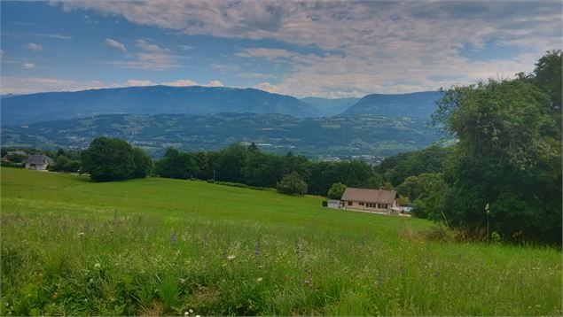 8. Vue Sentier les Hauts d'Albens Chemin de la COMBE BELLON - Office de Tourisme du Pays d'Albens