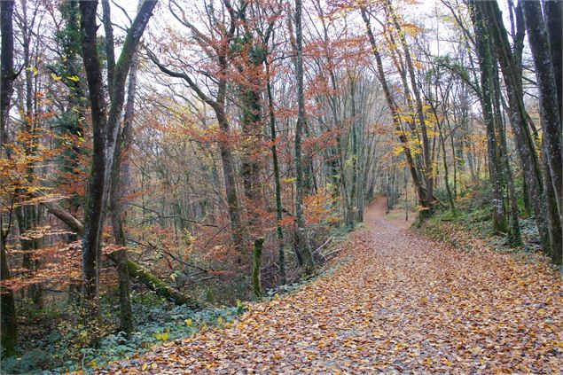 sentier Tour des hameaux - Grand Lac