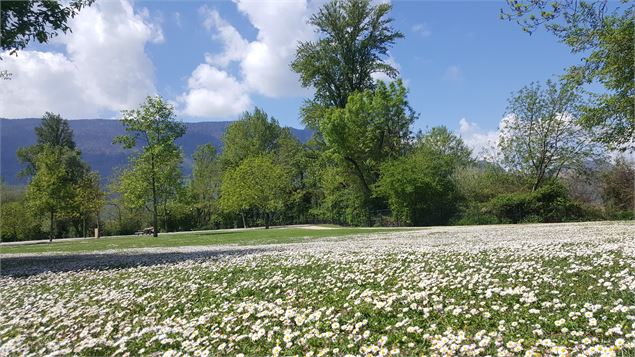 base de loisirs des Mottets 5 - Grand Lac