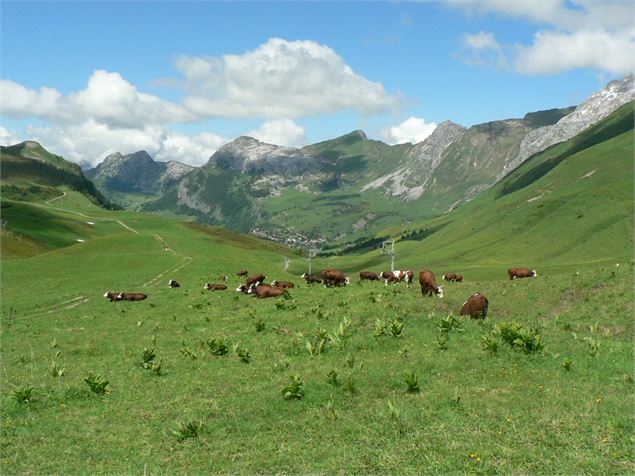 Col des Annes - Terres Rouges - csardin - OT Le Grand-Bornand