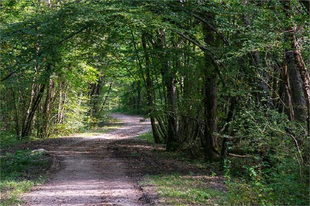 Sentier du marais de Chilly - A. Berger / Destination Léman