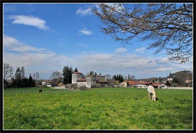 Château de Meillonnas