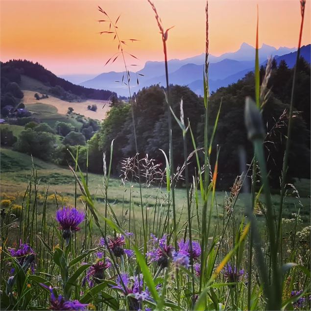 Lever de soleil - OT Val d'Hermone