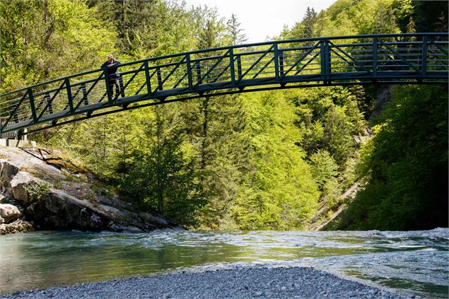 Passerelle au dessus du Brevon sur le géosite de la forêt ivre - SIAC - Photographe A. BERGER