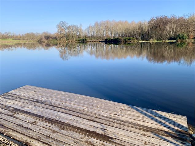 Pêche en Dombes - Etang Chamarin