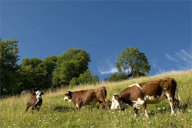 1 - Gilles Lansard / Les Contamines Tourisme