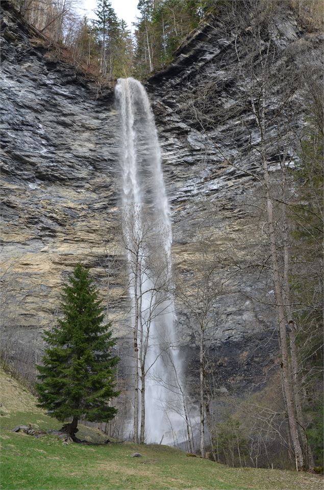 La cascade du Dard - David Machet