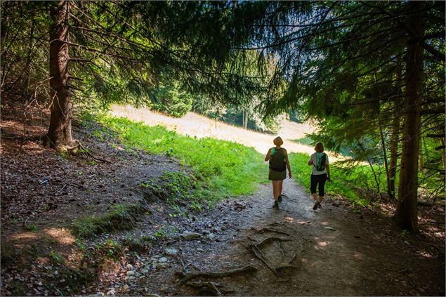 Foret de Praz Gelaz - C. Haas - Grand Chambéry Alpes Tourisme