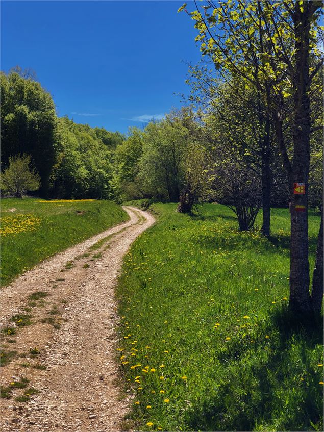 Chemin en direction de la Cotière - ©Emmanuelle Bebi