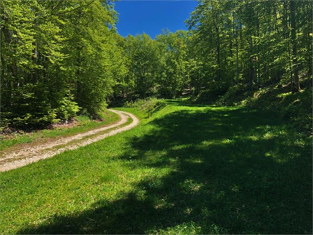 Chemin en direction de la Cotière - ©Emmanuelle Bebi