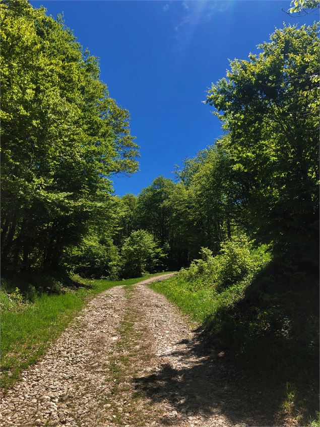 Chemin en direction de la Cotière - ©Emmanuelle Bebi