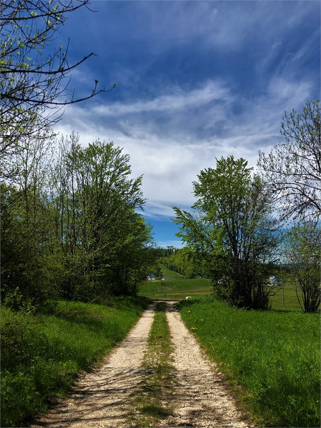 Chemin de la Fully - ©Emmanuelle Bebi