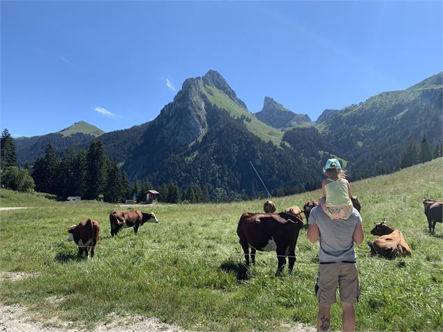 La Dent d'Oche - Bernex