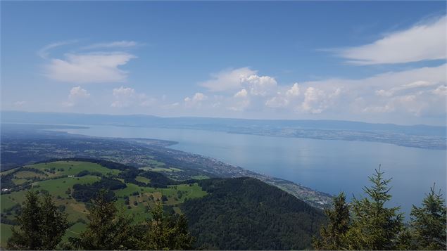 Pic des Mémises vue Léman - Gilles Lansart