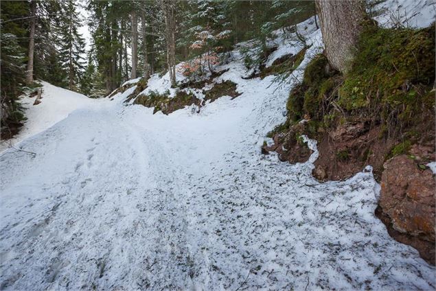 Circuit raquettes Descente aux Esserts Bernex pays d'Evian - Agencephoto Urop